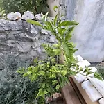 مكان تخييم Summer *