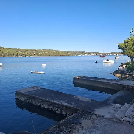 Summer Кемпинг