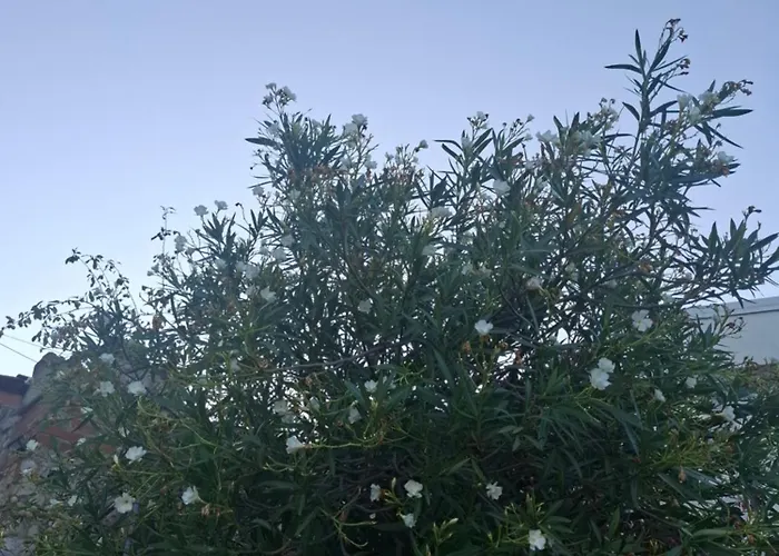 Summer Кемпинг *