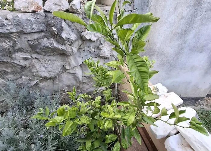 Кемпинг Summer *